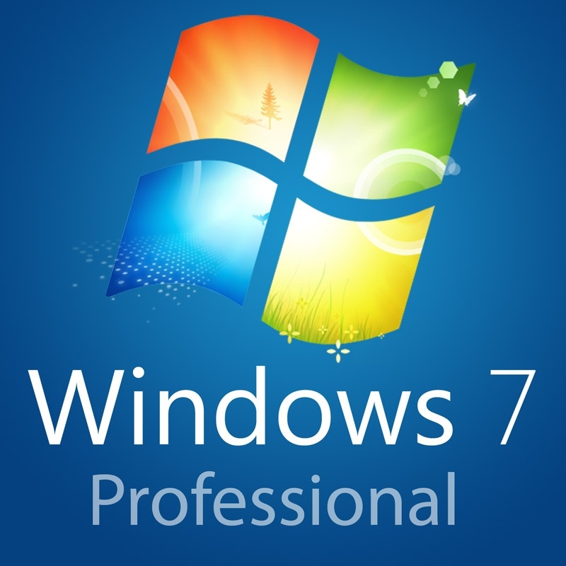 Programas de Windows Professional Corporate